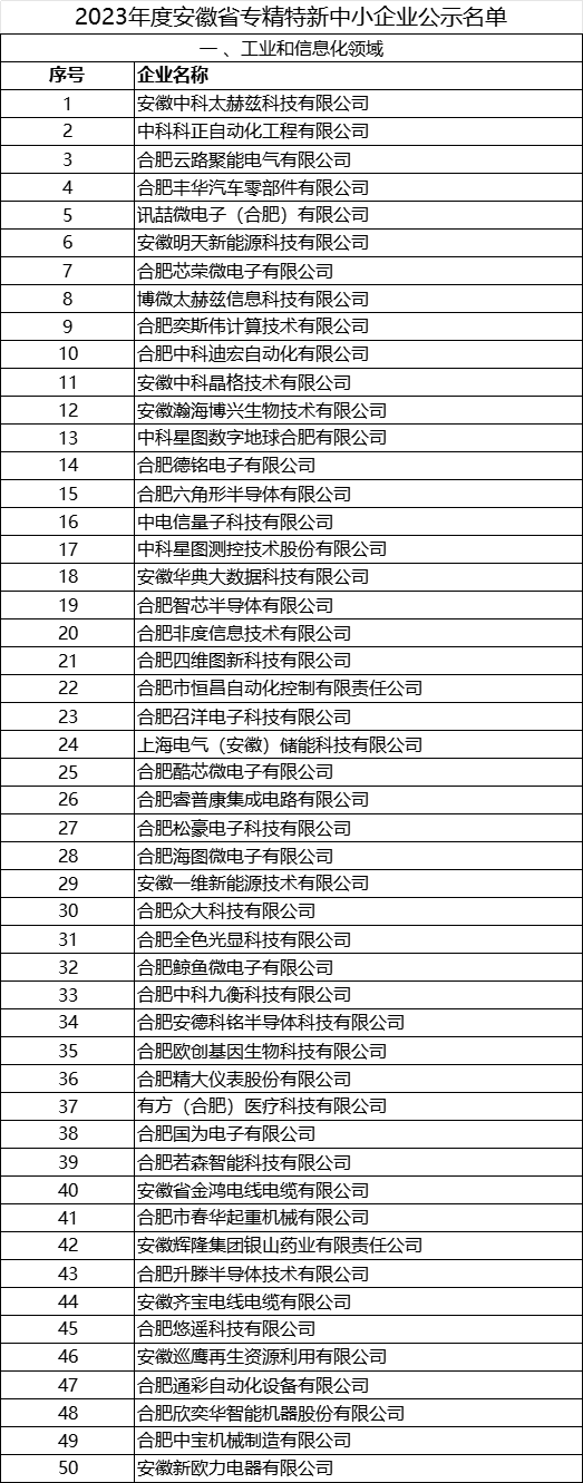2023年安徽省 專(zhuān)精特新中小企業(yè)完整名單