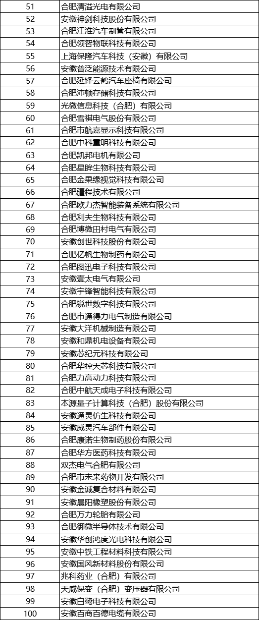 2023年安徽省 專(zhuān)精特新中小企業(yè)完整名單
