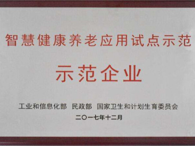 安徽智慧健康養(yǎng)老應(yīng)用試點(diǎn)示范申報(bào)條件